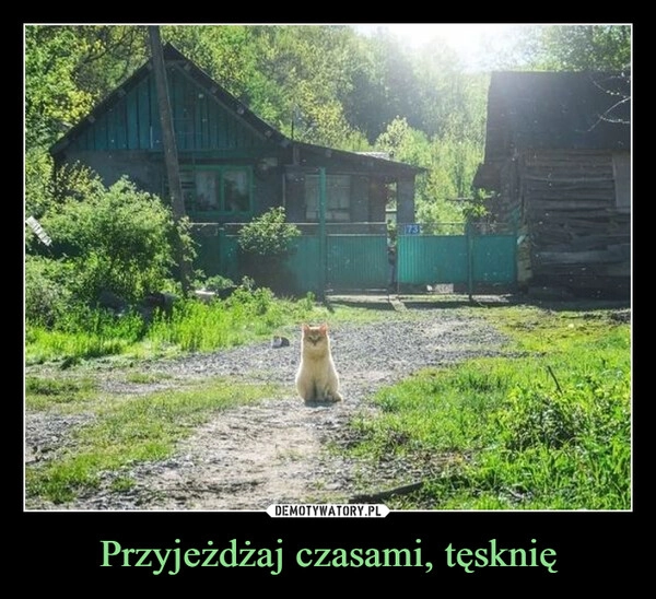 
    Przyjeżdżaj czasami, tęsknię