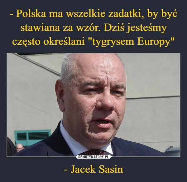 
    - Polska ma wszelkie zadatki, by być stawiana za wzór. Dziś jesteśmy często określani "tygrysem Europy" - Jacek Sasin