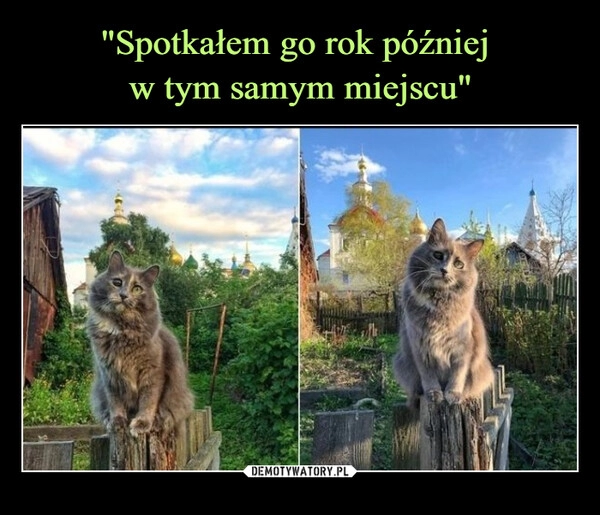 
    "Spotkałem go rok później 
w tym samym miejscu"