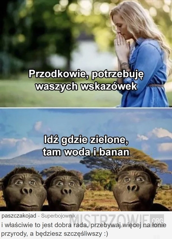 
    Wskazówki