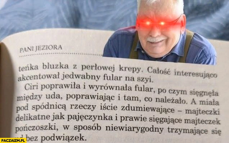 
    Sapkowski opis Ciri majteczki delikatne jak pajęczynka