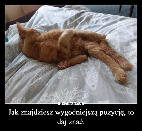 
    Jak znajdziesz wygodniejszą pozycję, to daj znać.