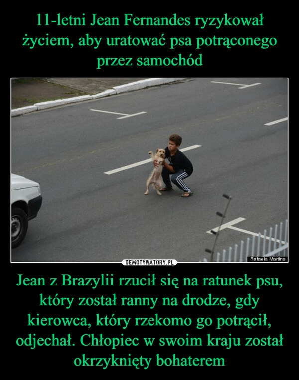 
    11-letni Jean Fernandes ryzykował życiem, aby uratować psa potrąconego przez samochód Jean z Brazylii rzucił się na ratunek psu, który został ranny na drodze, gdy kierowca, który rzekomo go potrącił, odjechał. Chłopiec w swoim kraju został okrzyknięty bohaterem