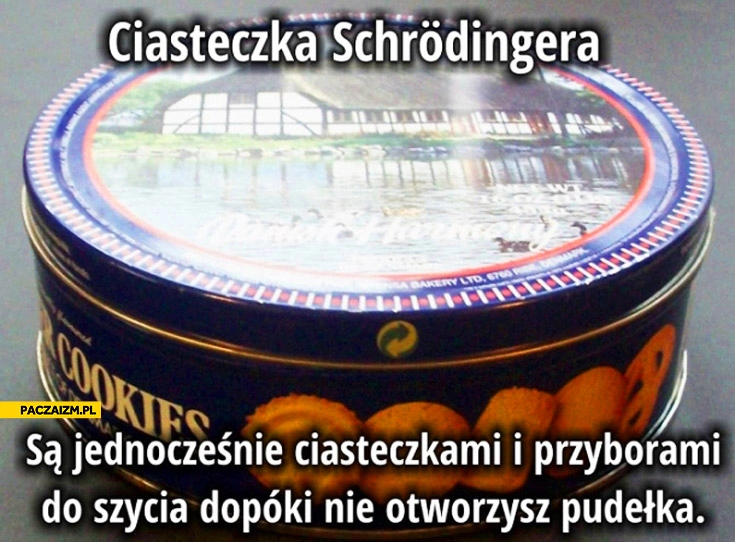 
    Ciasteczka Schrodingera