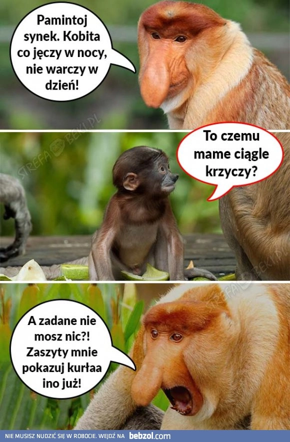 
    Pjoter, Ty mie tu nie podskakuj 