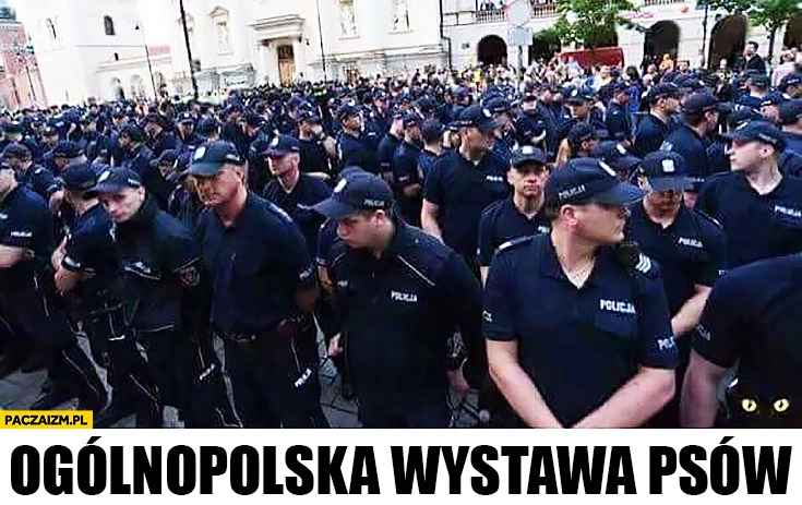 
    Ogólnopolska wystawa psów policja policjanci obstawiają miasto