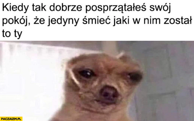 
    Kiedy tak dobrze posprzątałeś swój pokój, że jedyny śmieć jaki w nim został to Ty