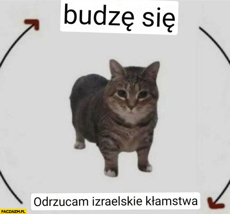 
    Budzę się, odrzucam izraelskie kłamstwa kot kotek