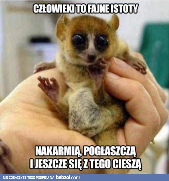 
    Człowieki są spoko