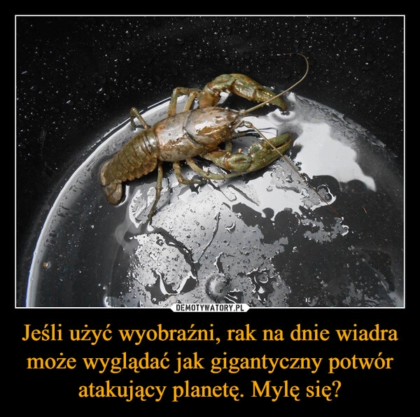 
    Jeśli użyć wyobraźni, rak na dnie wiadra może wyglądać jak gigantyczny potwór atakujący planetę. Mylę się?