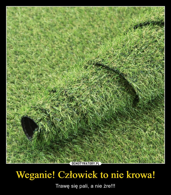 
    Weganie! Człowiek to nie krowa!