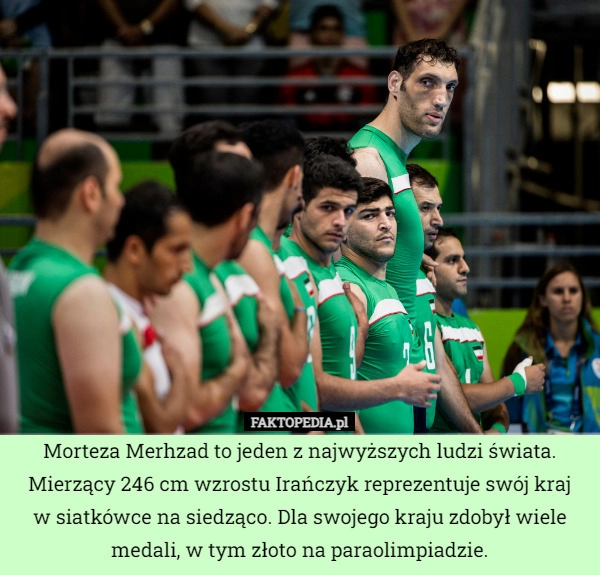 
    Morteza Merhzad to jeden z najwyższych ludzi świata. Mierzący 246 cm wzrostu