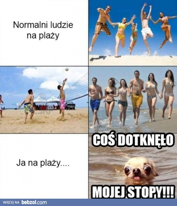 
    Tymczasem na plaży