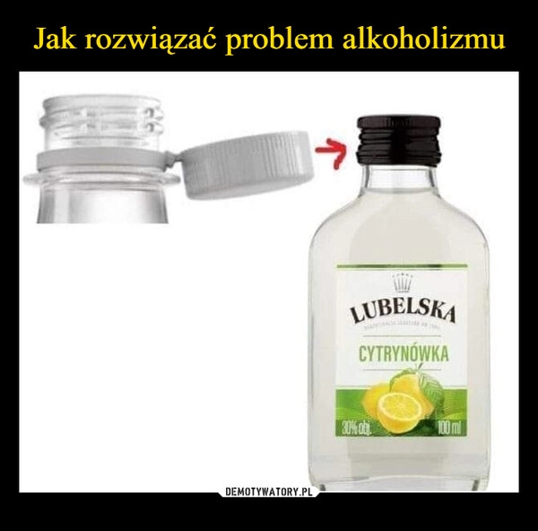 
    Jak rozwiązać problem alkoholizmu