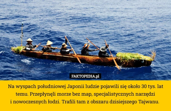 
    Na wyspach południowej Japonii ludzie pojawili się około 30 tys. lat temu.