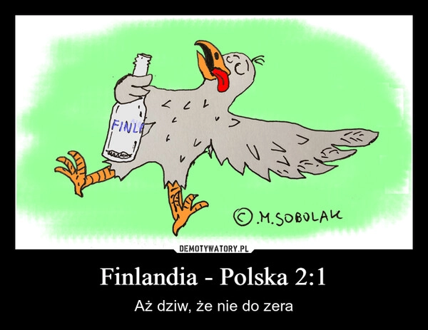 
    Finlandia - Polska 2:1