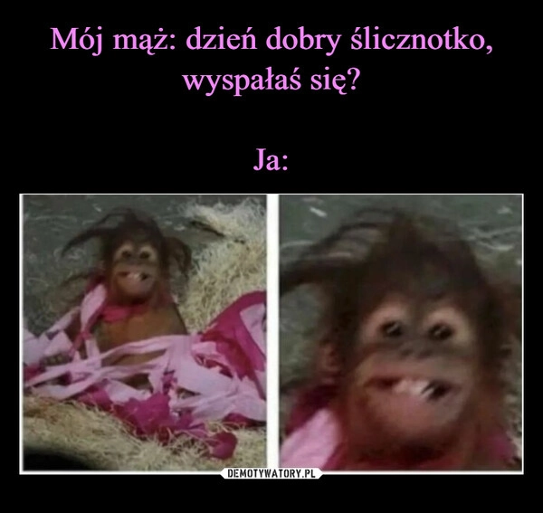 
    Mój mąż: dzień dobry ślicznotko, wyspałaś się?

Ja: