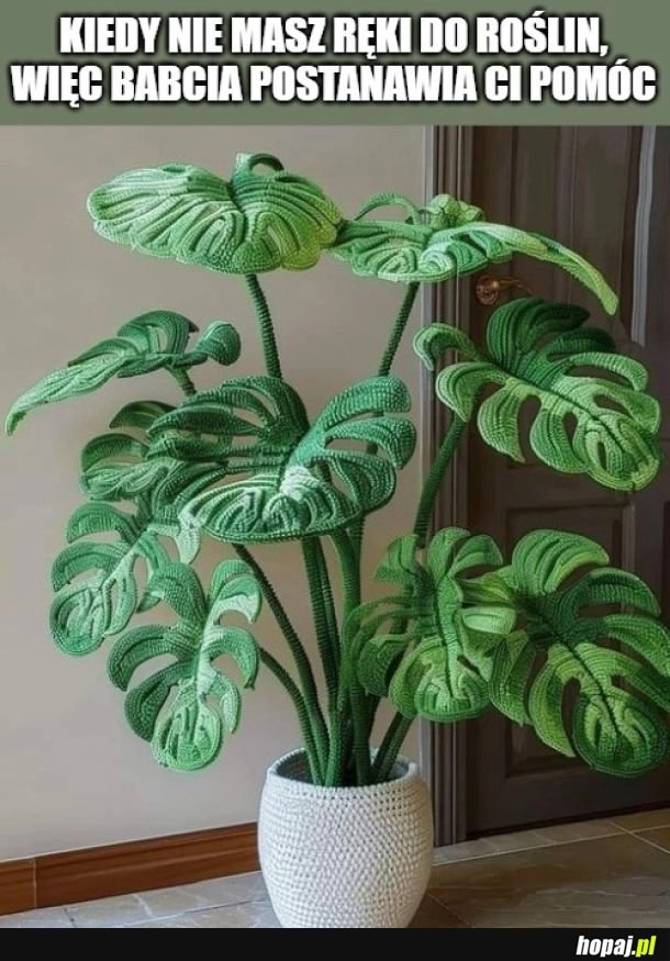 
    Szydełkowa monstera