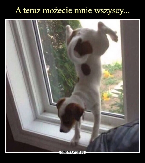 
    A teraz możecie mnie wszyscy...