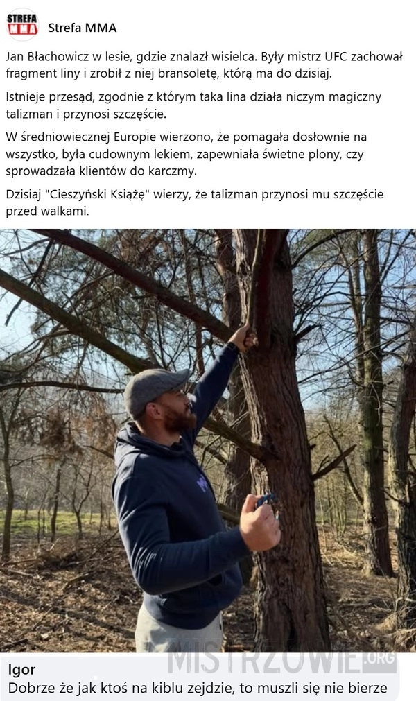 
    Błachowicz