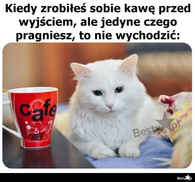 
    Kawa nie pomoże 