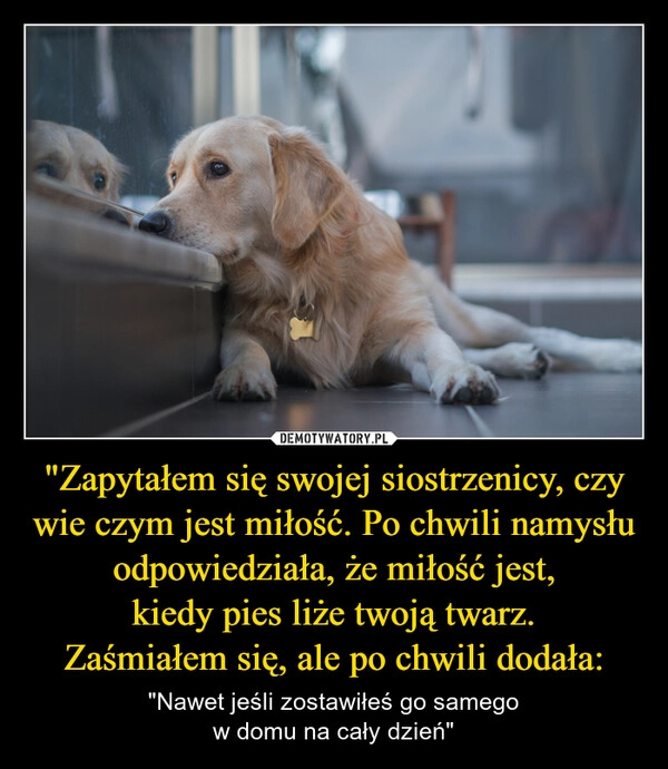 
    "Zapytałem się swojej siostrzenicy, czy wie czym jest miłość. Po chwili namysłu odpowiedziała, że miłość jest,
kiedy pies liże twoją twarz.
Zaśmiałem się, ale po chwili dodała: