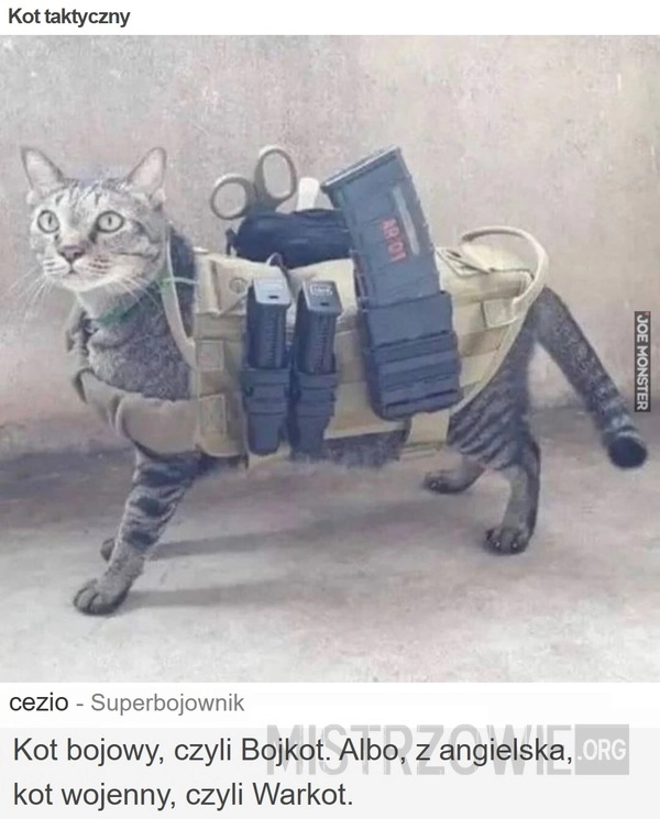 
    Kot taktyczny