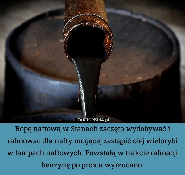 Ropę naftową w Stanach zaczęto wydobywać i rafinować dla nafty mogącej zastąpić