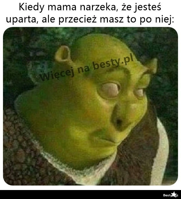 
    Po kimś to mam 