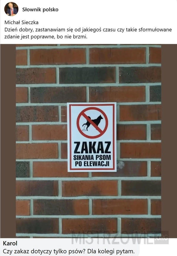 
    Zakaz