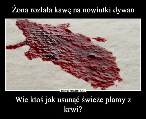 
    Żona rozlała kawę na nowiutki dywan Wie ktoś jak usunąć świeże plamy z krwi?