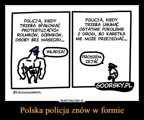 
    Polska policja znów w formie