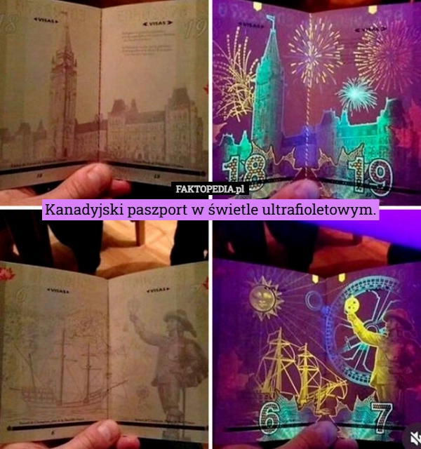 
    Kanadyjski paszport w świetle ultrafioletowym.