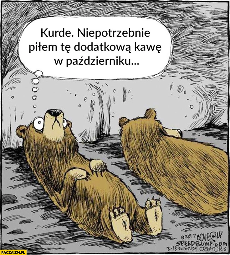 
    Niedźwiedź sen zimowy kurde niepotrzebnie piłem tę dodatkową kawę w październiku