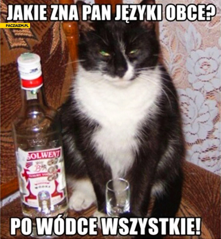 
    Jakie zna pan języki obce? Po wódce wszystkie kot