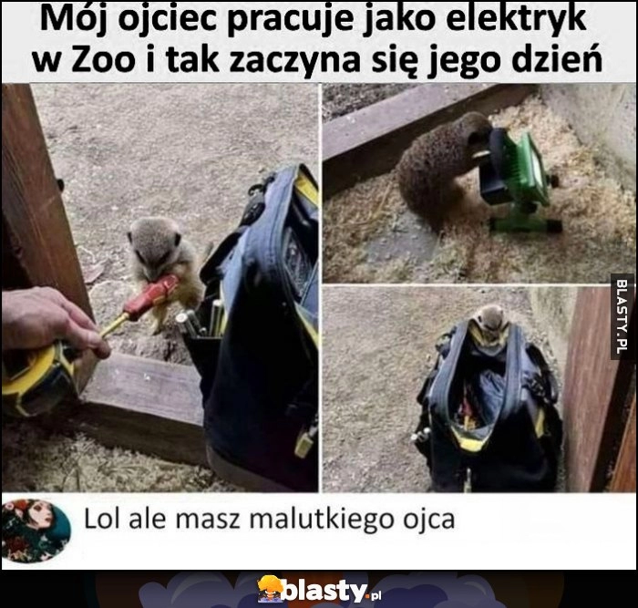 
    Mój ojciec pracuje jako elektryk w Zoo i tak zaczyna się jego dzień, lol ale masz malutkiego ojca