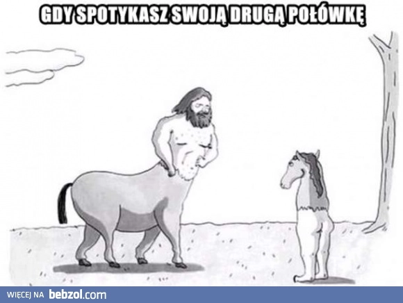 
    Spotkać drugą połówkę
