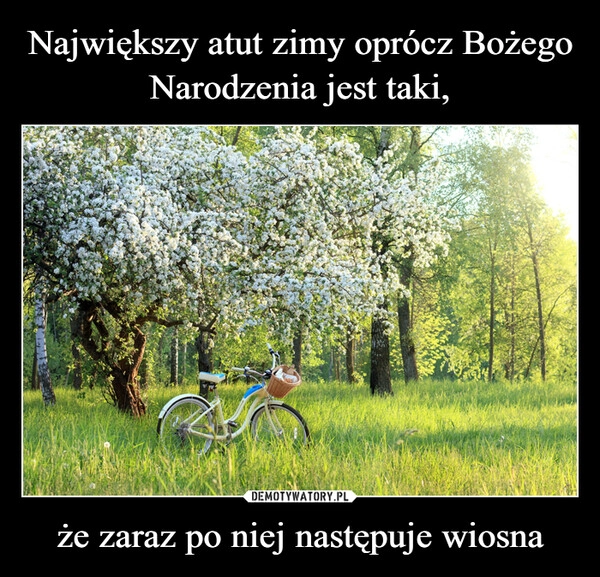 
    
Największy atut zimy oprócz Bożego Narodzenia jest taki, że zaraz po niej następuje wiosna 