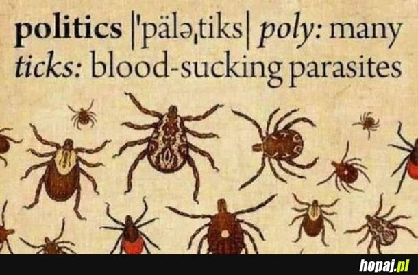 
    Definicja polityków