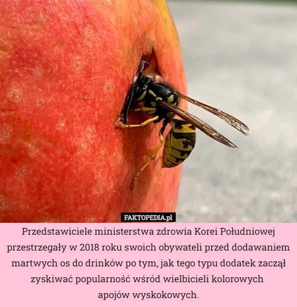 
    Przedstawiciele ministerstwa zdrowia Korei Południowej przestrzegały w 2018