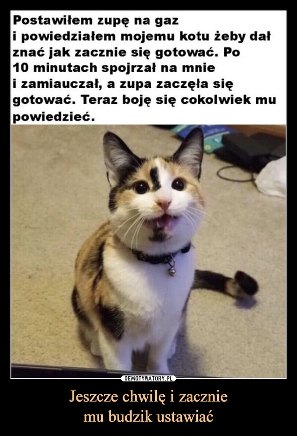 
    Jeszcze chwilę i zacznie
mu budzik ustawiać