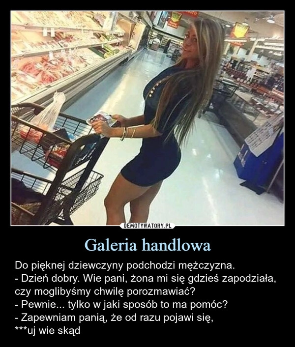 
    Galeria handlowa