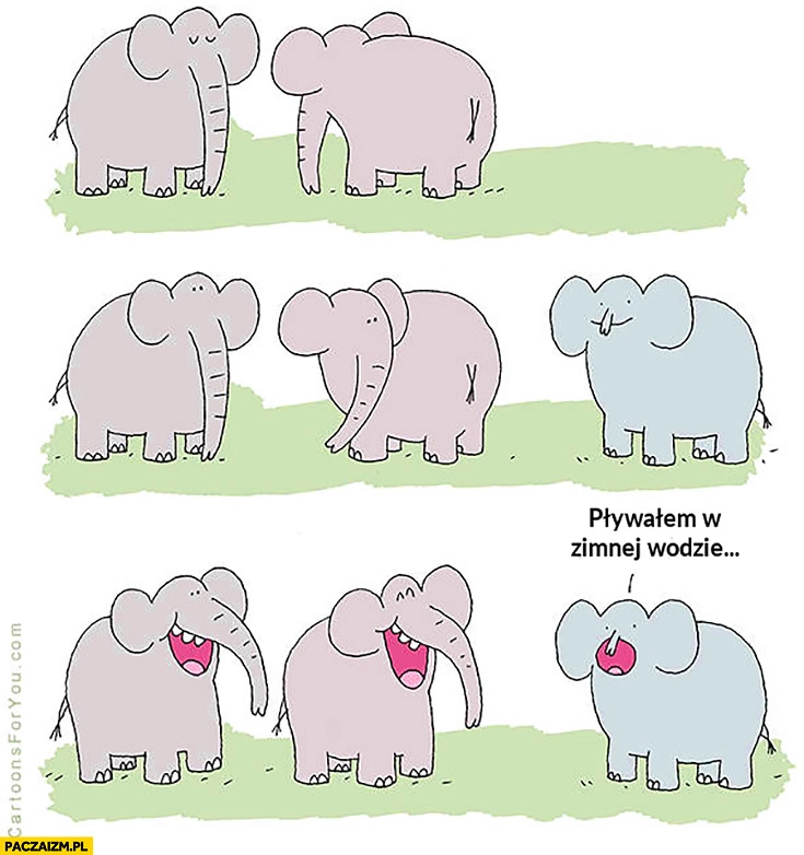 
    Słoń z małą trąbą: pływalem w zimnej wodzie
