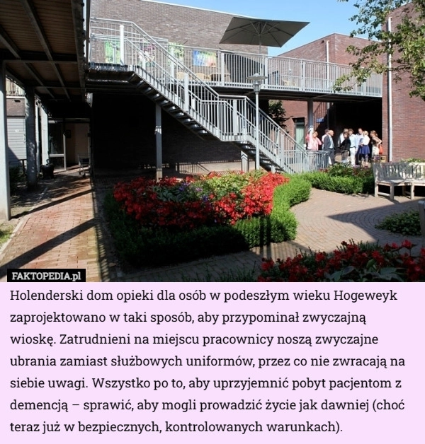 
    Holenderski dom opieki dla osób w podeszłym wieku Hogeweyk zaprojektowano...