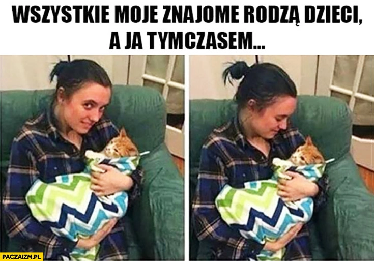 
    Wszystkie moje znajome rodzą dzieci a ja tymczasem mam kota