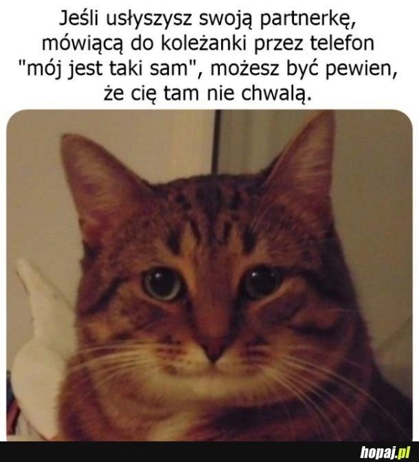 
    Zgadza się