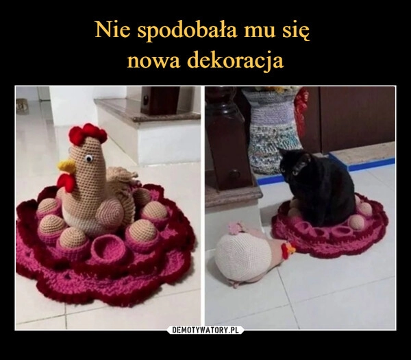 
    Nie spodobała mu się 
nowa dekoracja