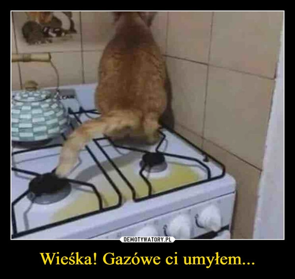 
    Wieśka! Gazówe ci umyłem...