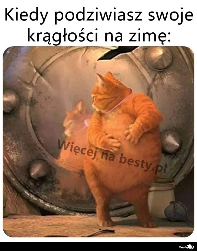 
    Krągłości na zimę 