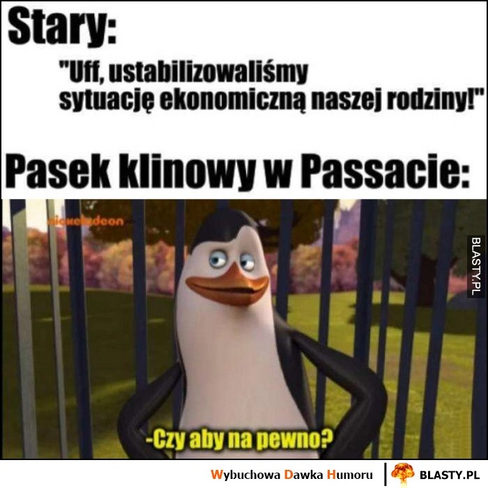 
    Stary: ustabilizowaliśmy sytuację ekonomiczną naszej rodziny vs pingwin pasek klinowy w Passacie: czy aby na pewno?